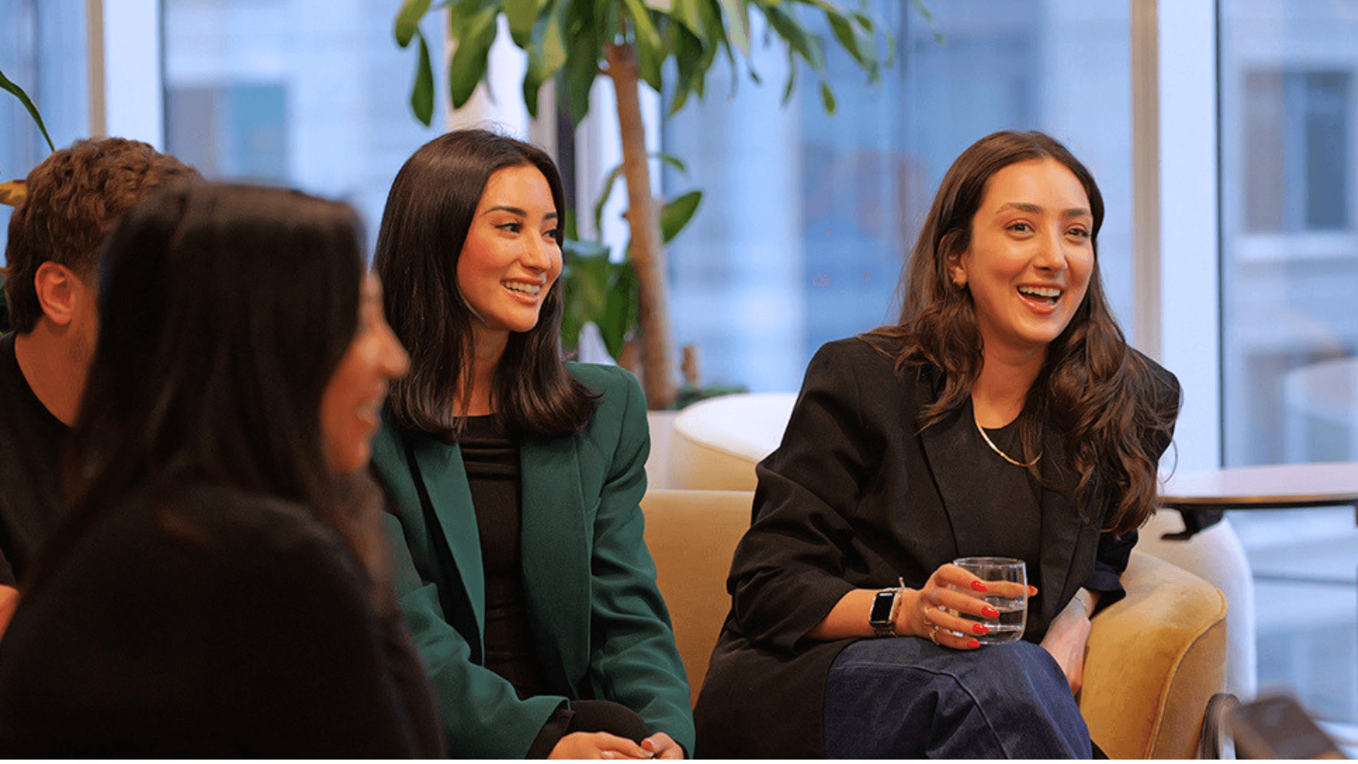 Boa members networking